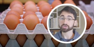 Student medicine s Harvarda jeo svaki dan 24 jaja: rezultati šokirali i stručnjake